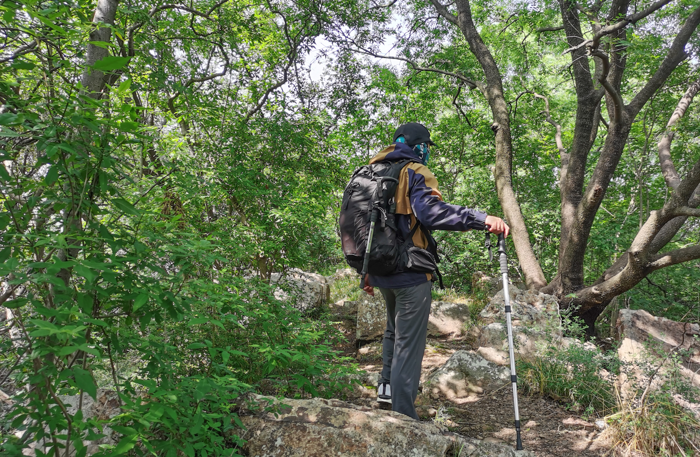 背包小鹰osprey,小鹰魔爪26背包功能详解