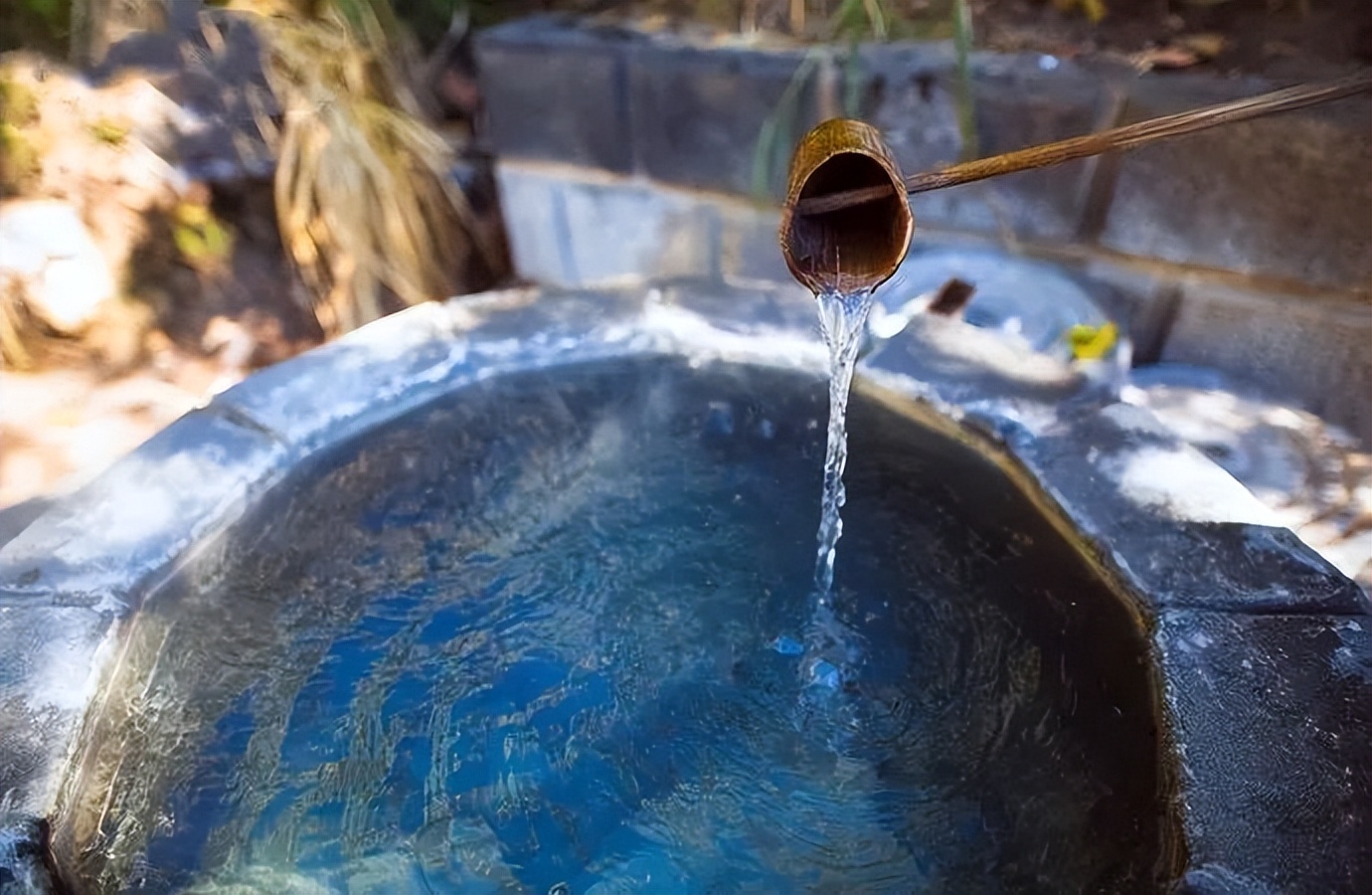 银杏谷泡温泉的地方,广东冬天赏银杏泡温泉