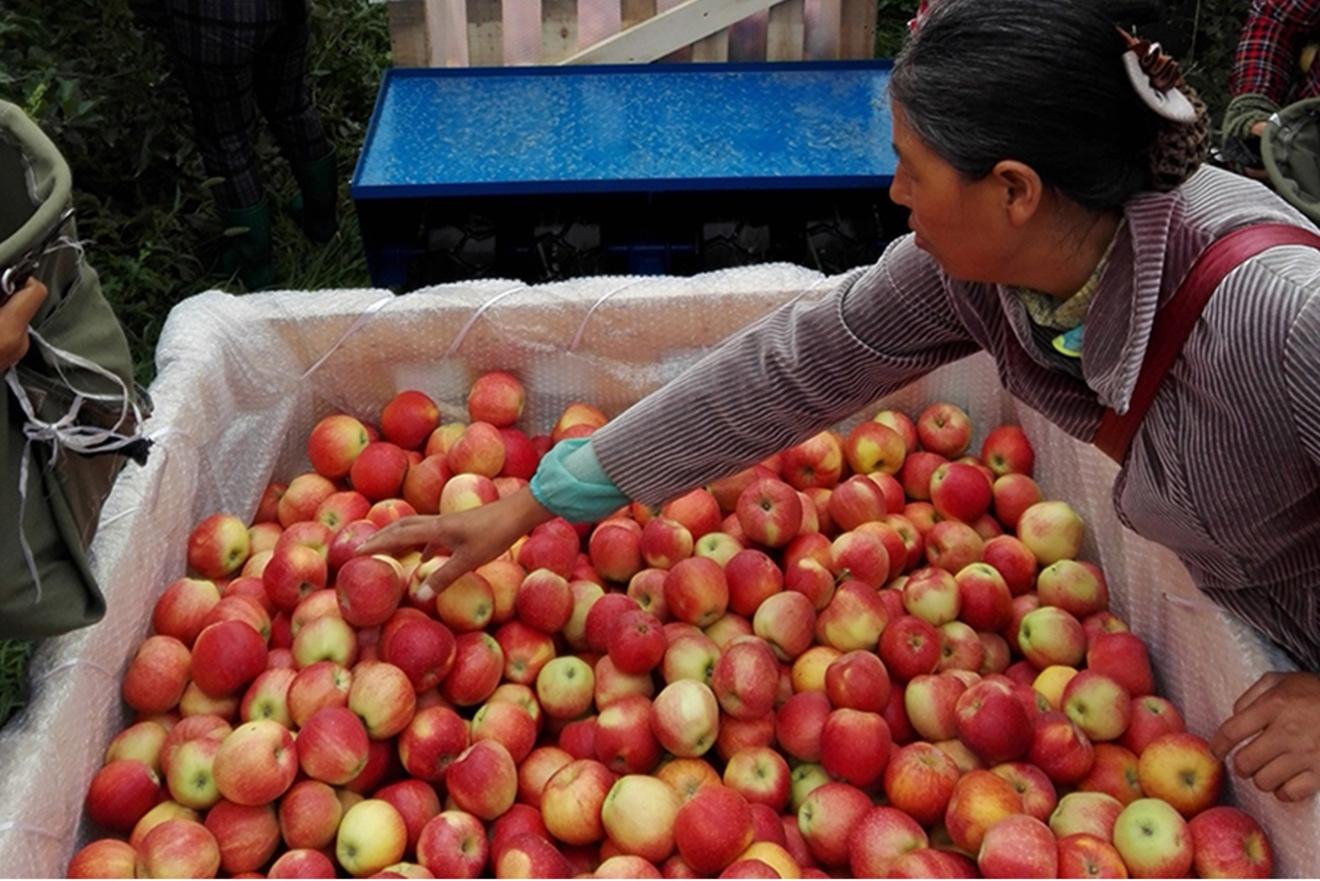 浜氭床鐢熻彍澶х帇,浜氭床椤剁骇鐢熻彍澶х帇