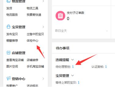 弘辽科技网店怎么经营,淘宝复核店是什么意思