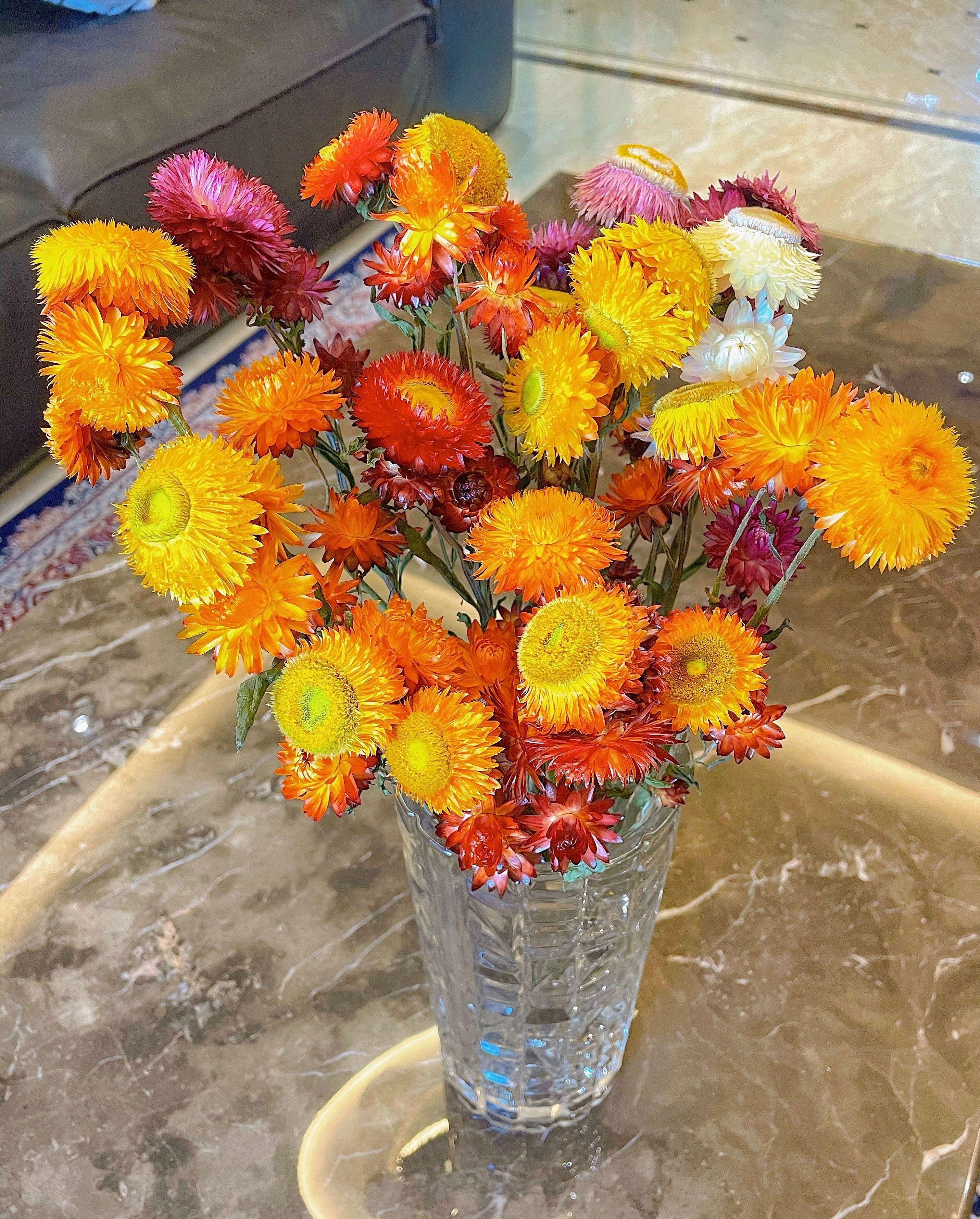 麦秆菊阳台,花期最长的花排名麦秆菊