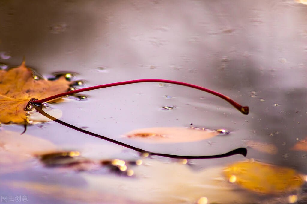 从三竹两苇到起重机，明白鱼竿的历史，才知道能不能打