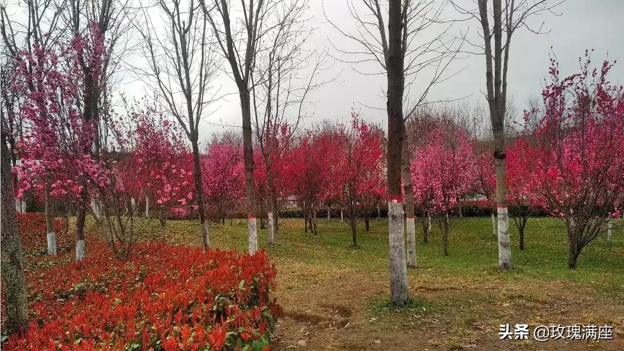 咸阳最好的公园在哪里,咸阳龙湖彩虹郦城规划有公园吗