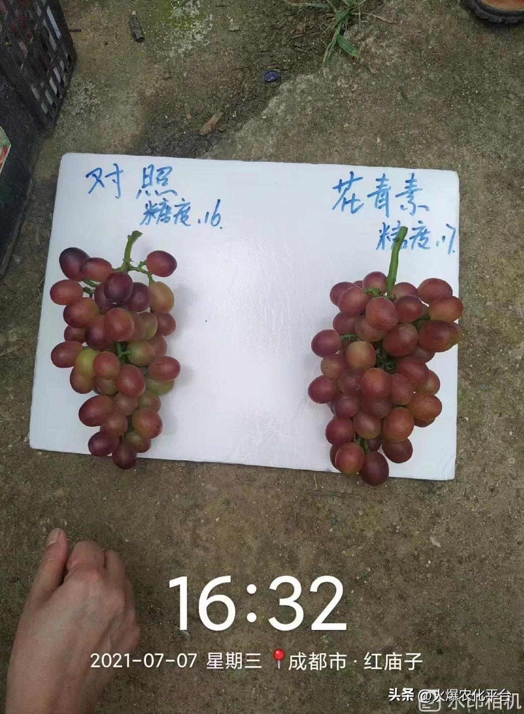 西班牙原装进口肥料艾德拉,西班牙艾德拉农肥料有限公司