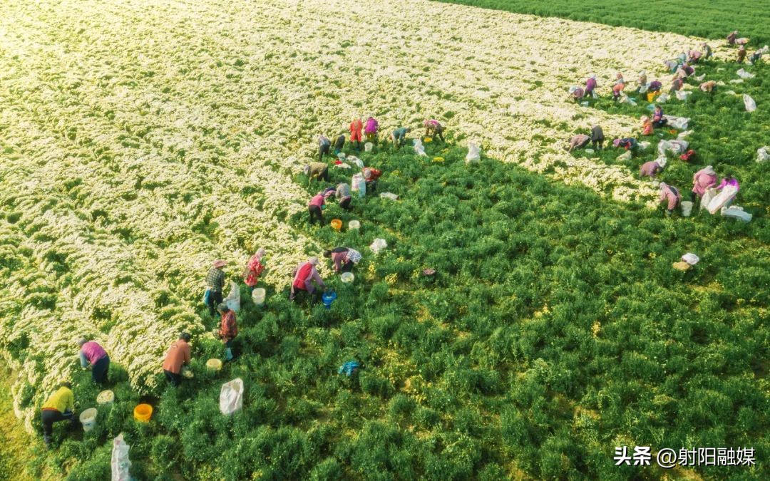 竞逐新赛道勇当排头兵表态发言,竞逐新赛道