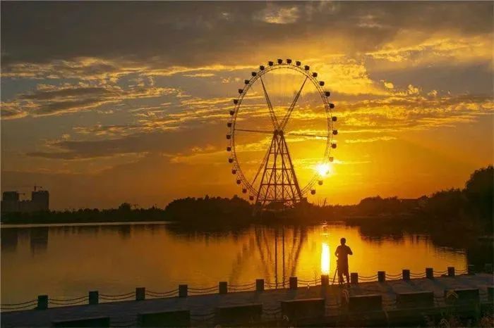 菏泽牡丹节赏花攻略,菏泽春日赏花攻略