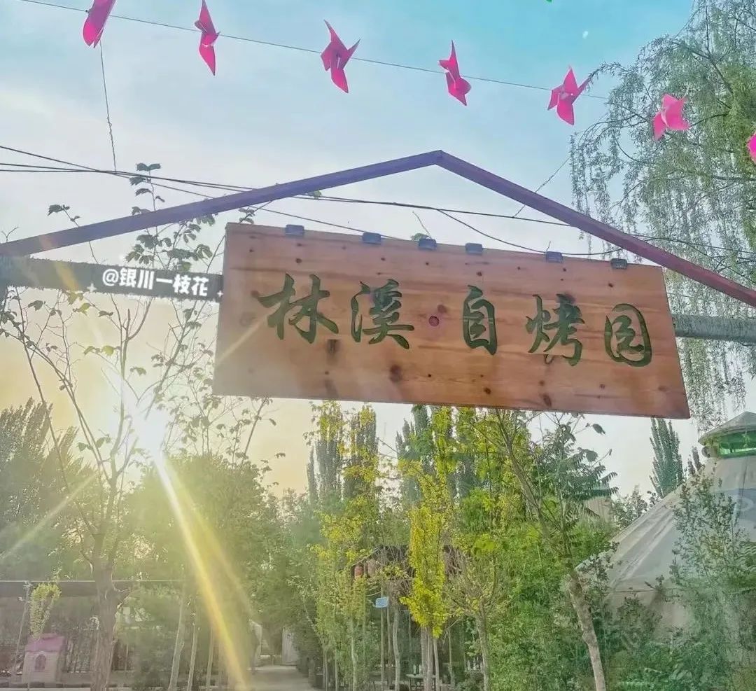 银川适合冬天去的农家乐,银川周边可以住宿的农家乐