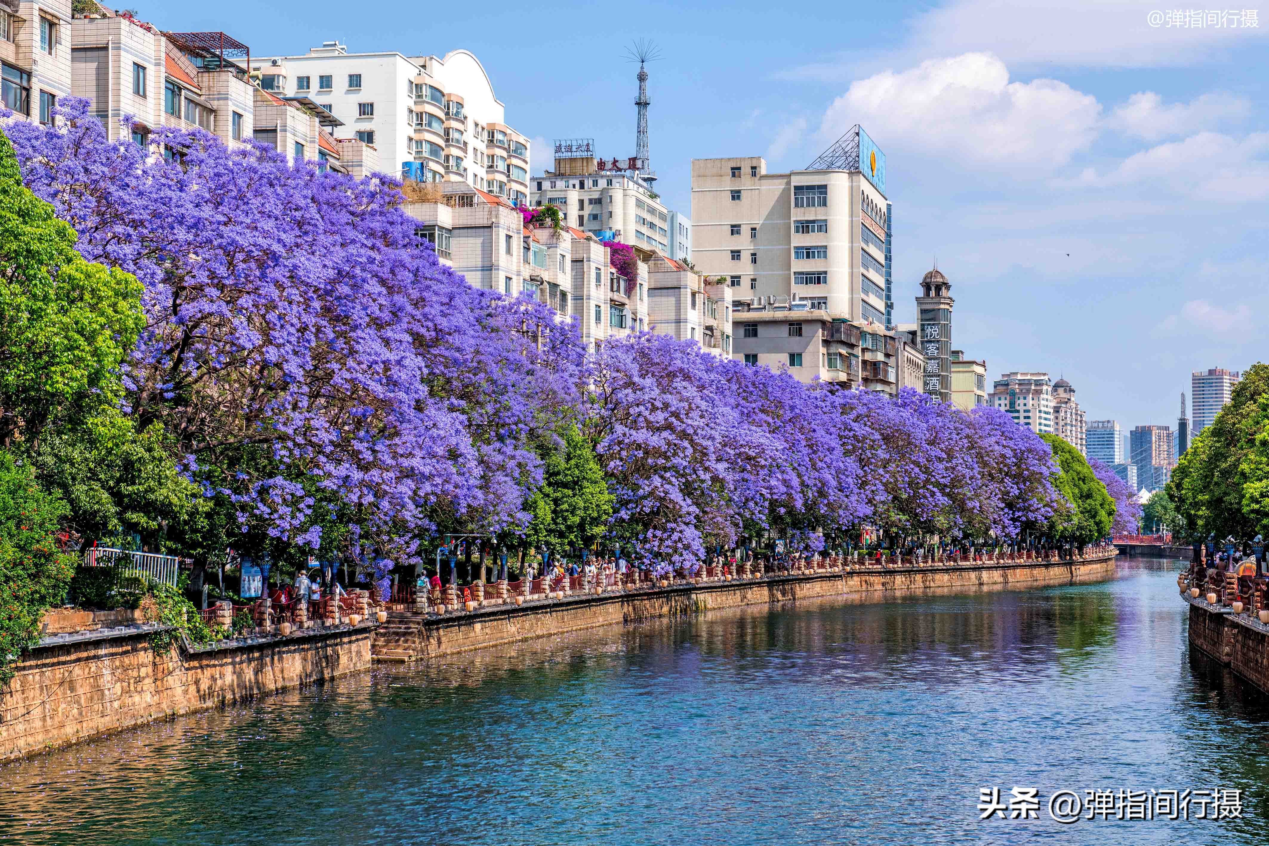 昆明春天假日游玩推荐特辑,昆明春天旅游攻略