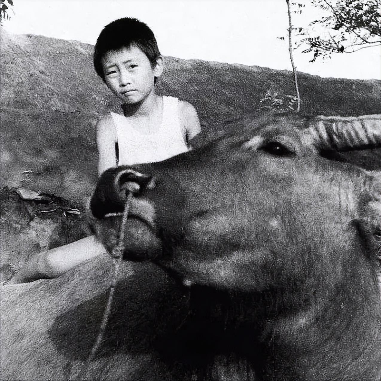 罗军长之死（纪实小小说）