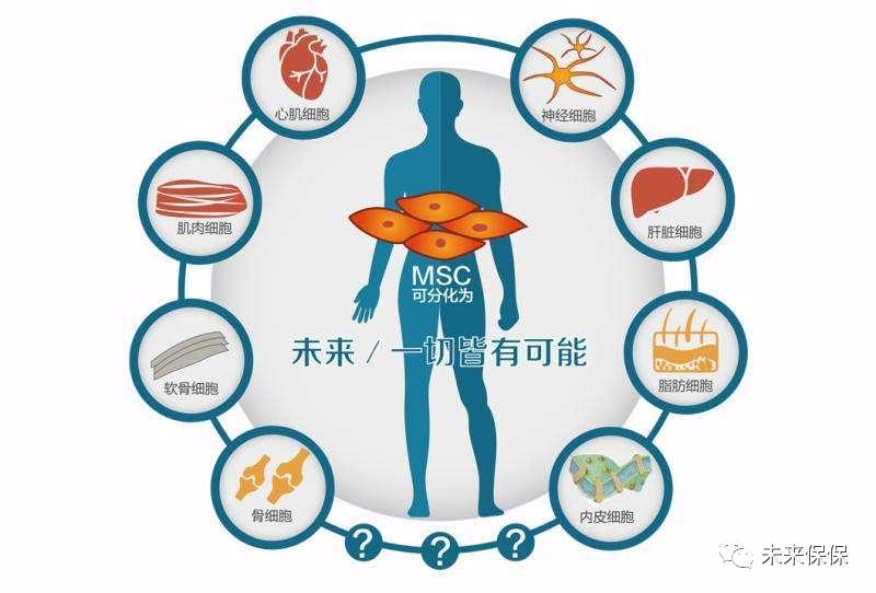 适合个人投资的大健康项目,健康的投资项目有哪些