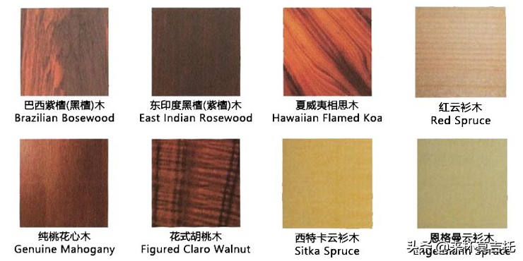 新手入门吉他怎么选择,新手入门吉他怎么选好弹的曲子