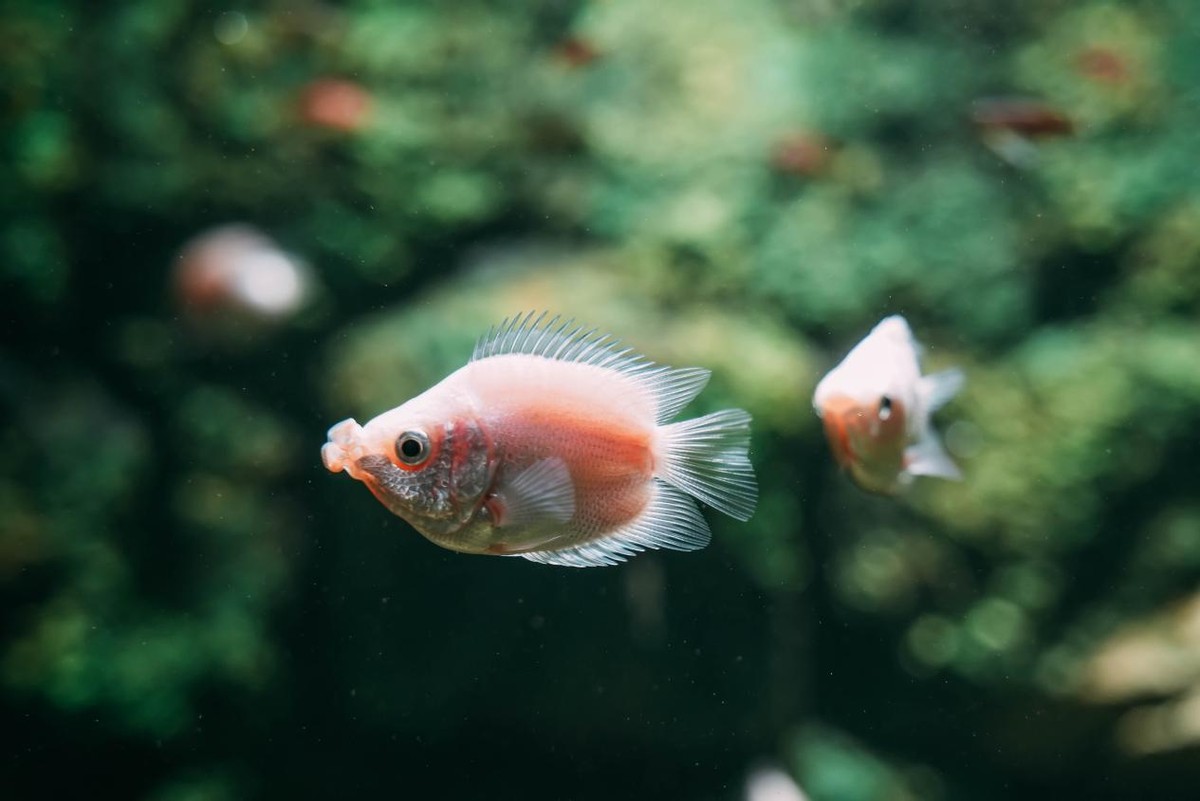 炎炎夏日，踏浪而来，赶赴一场和海南的约“惠”