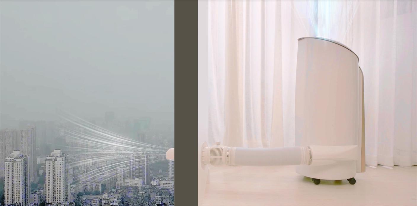 除甲醛绿植好还是活性炭好用,什么绿植去甲醛效果最好