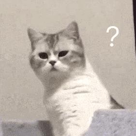 2022最建议买的投影仪,2020年投影仪值得入手的排行榜