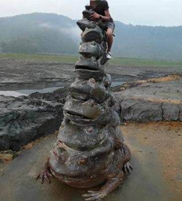 台湾日月潭九蛙,台湾日月潭九只石蛙出水