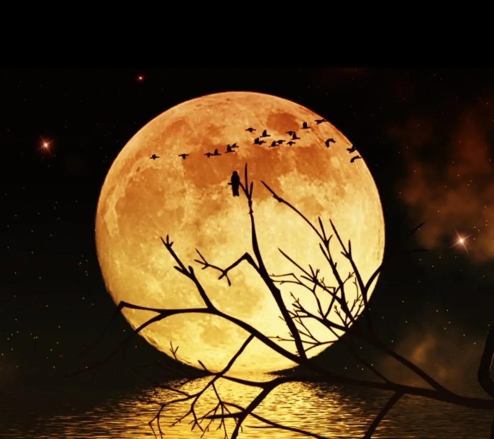 七夕节的相关诗词句,七夕节唯美诗句图片