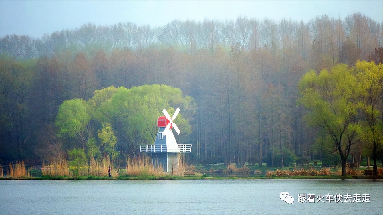 南京城墙下的琵琶湖,南京旅游先看城墙还是先看玄武湖