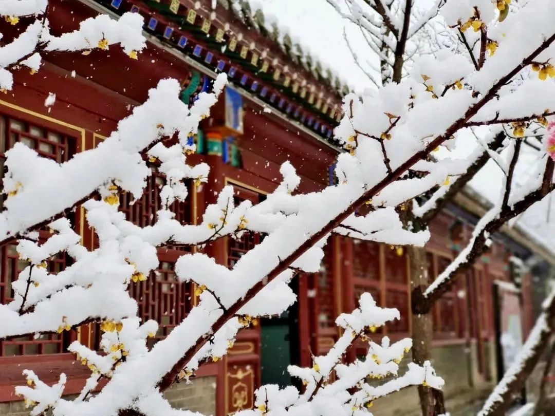 石家庄下雨哪里风景最美,石家庄冬季风景好的地方