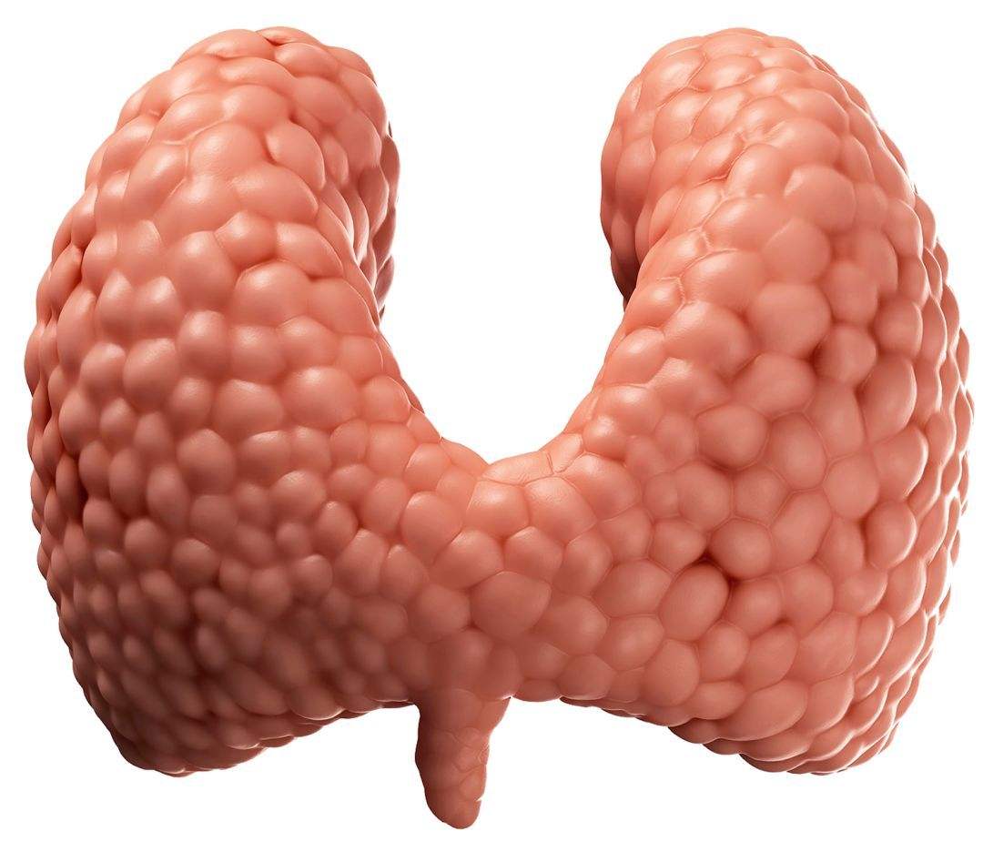 甲状腺结节专家张凯松简介,张凯松看甲状腺怎么样