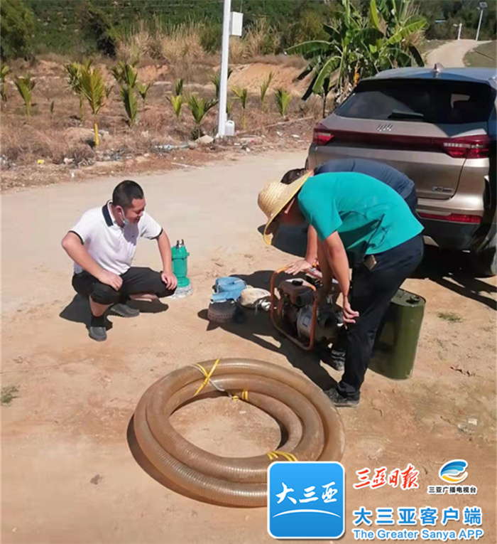 灌溉农田、代购饲料…天涯区解决封控区村民的“后顾之忧”