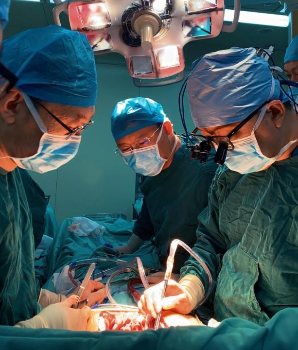 杏林蔚然,洞见乾坤!哈尔滨医科大学:拾级而上,96层高阁藏奇珍