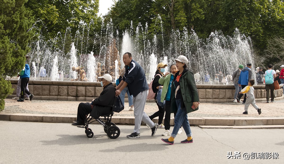 十月一青岛中山公园游玩攻略,国庆青岛中山公园游玩攻略