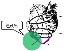 胎儿屁股在右侧是什么胎位,胎位roa屁股在左边还是右边