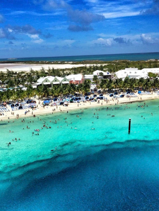 海洋巨蟒真实照片大全,海洋巨蟒真实图片大全