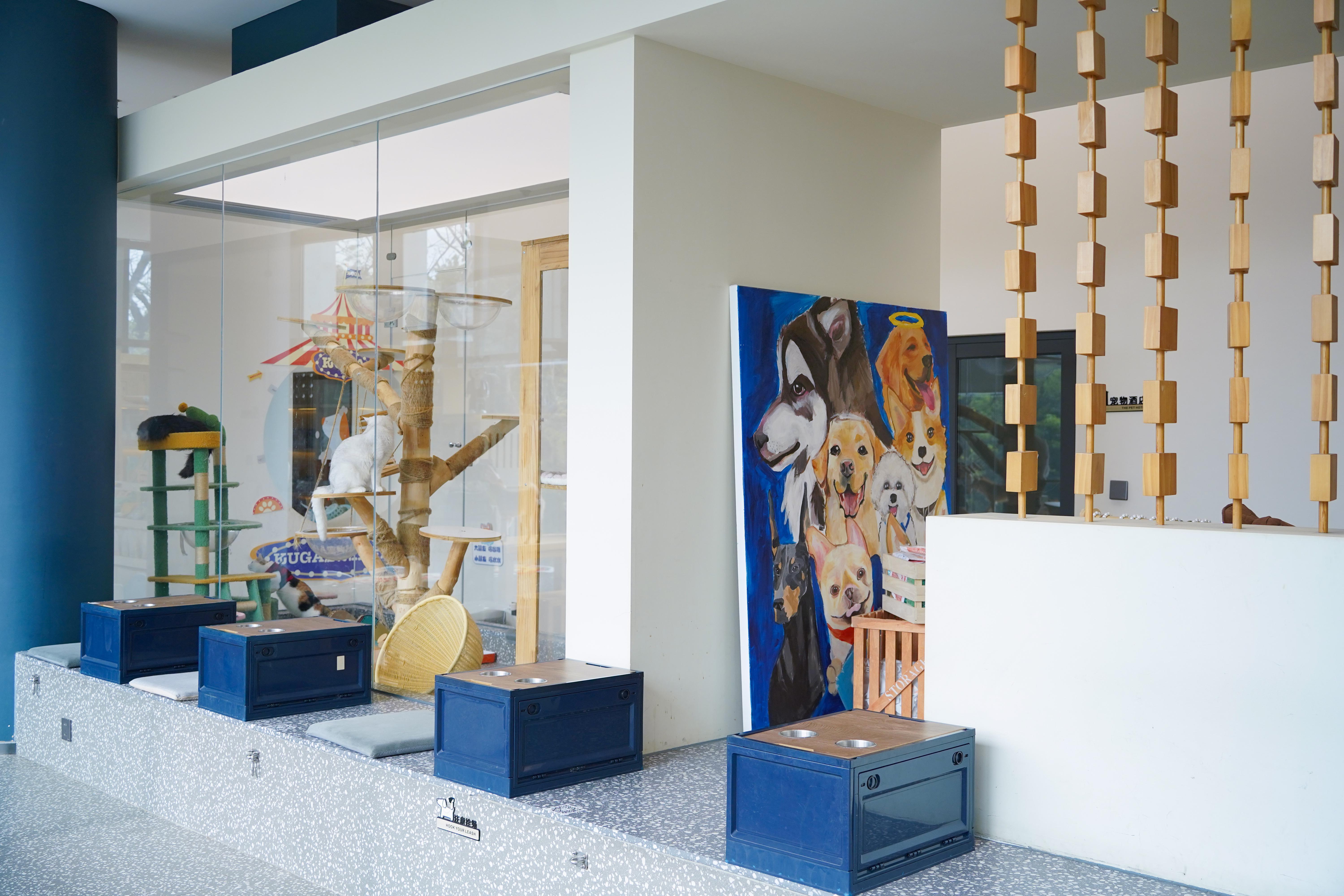 你就宠他吧谐音,你就宠他吧在线阅读