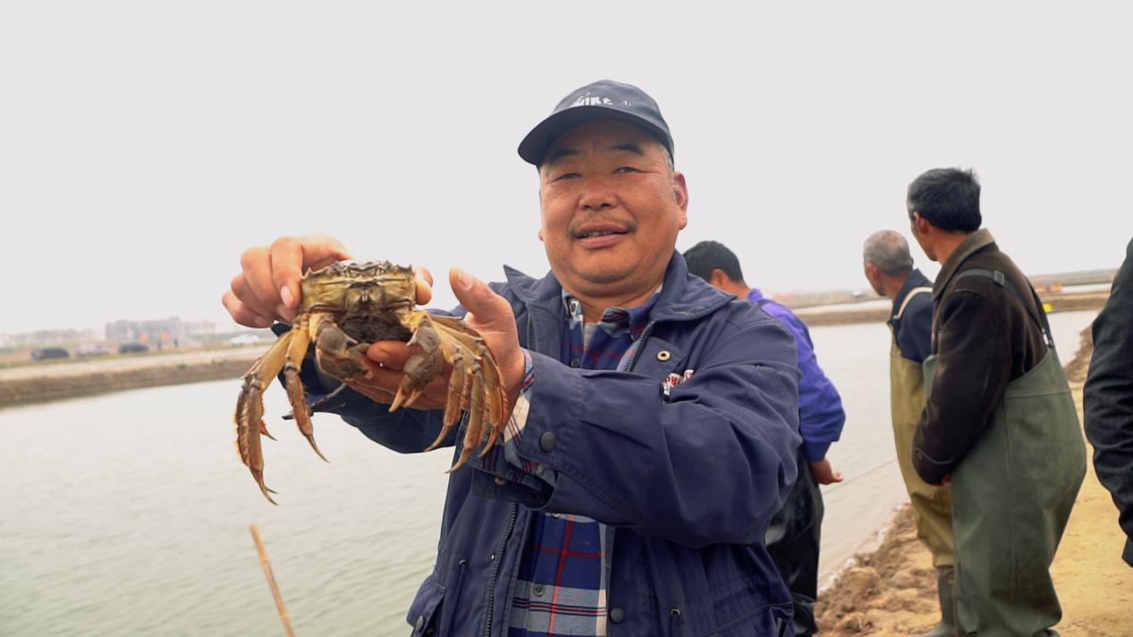 是“鸟类天堂”也是螃蟹宝宝“幼儿园”！江苏条子泥湿地千亩蟹塘挂笼