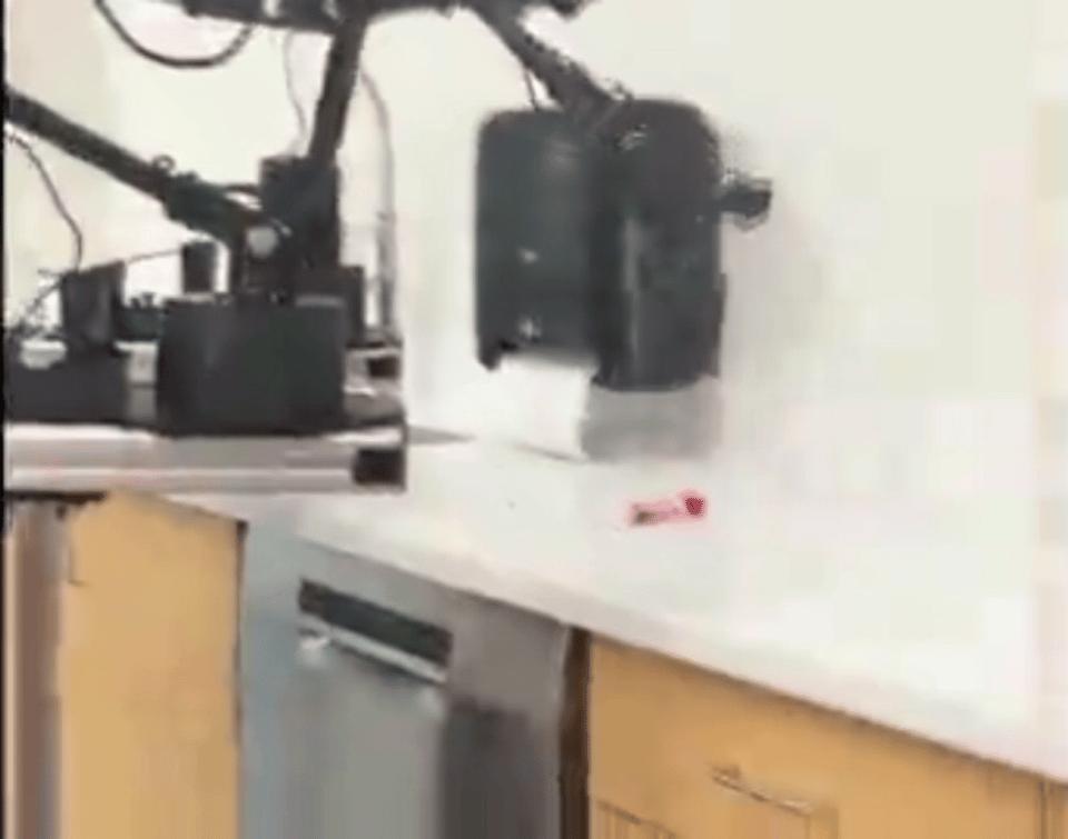 斯坦福家务,国外智能家务机器人