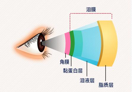 眼睛迎风流泪怕光怎么治用什么药,眼睛迎风流泪视力模糊是什么原因