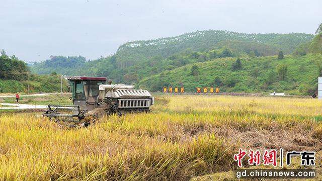 握紧时代的接力棒走好新的赶考路,握紧接力棒走好奋斗路