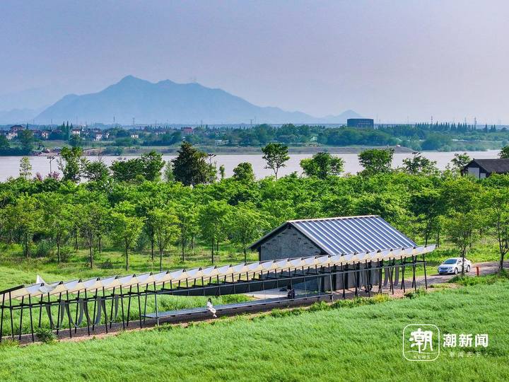 浙江龙游文旅的亮点是什么,浙江龙游文旅特色亮点