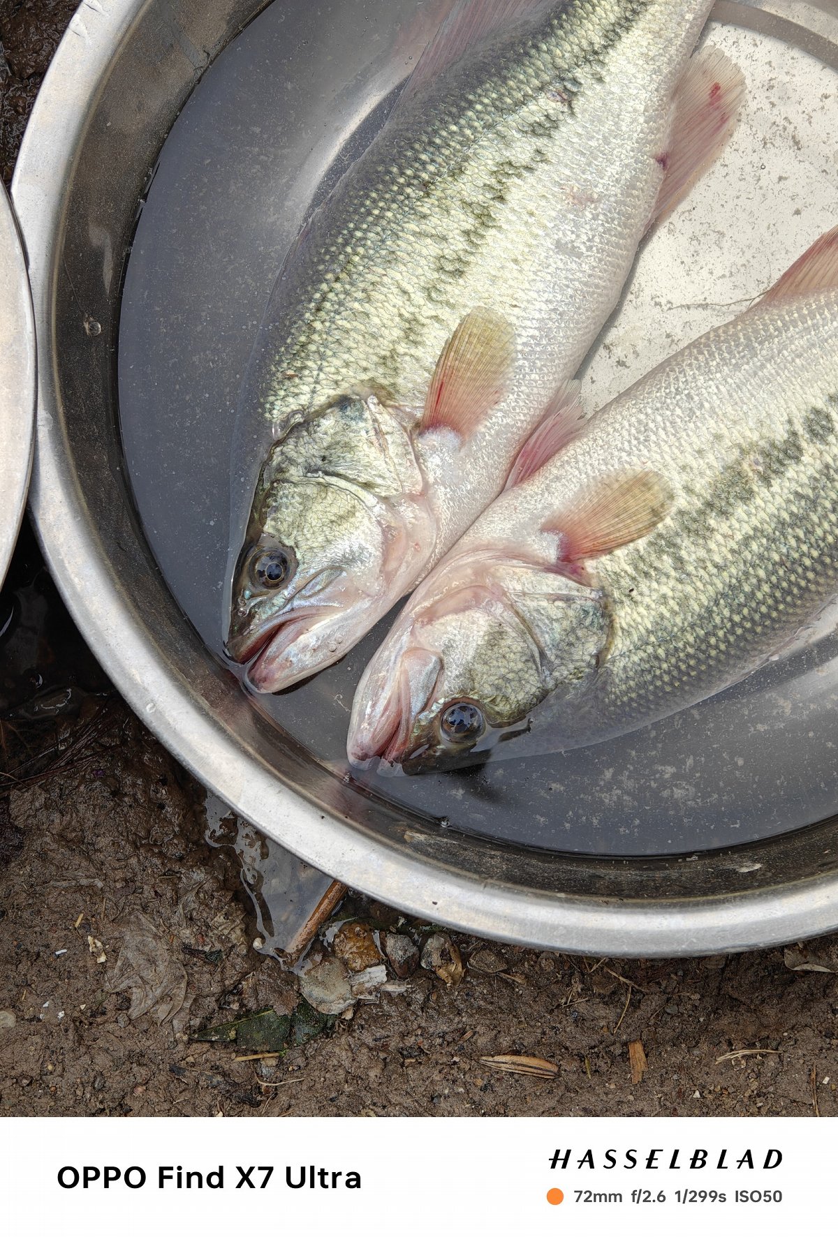 oppofindx7ultra娴嬭瘎,oppofindx7ultra鎷嶆憚璇勬祴