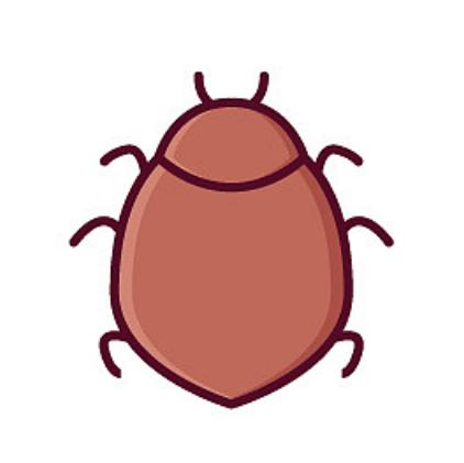 浅谈蔬菜蚜虫的防治方法,蔬菜种植蚜虫防治技术方案