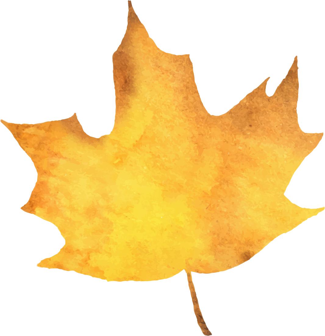 笋干炒莲藕,周宁笋干肉包