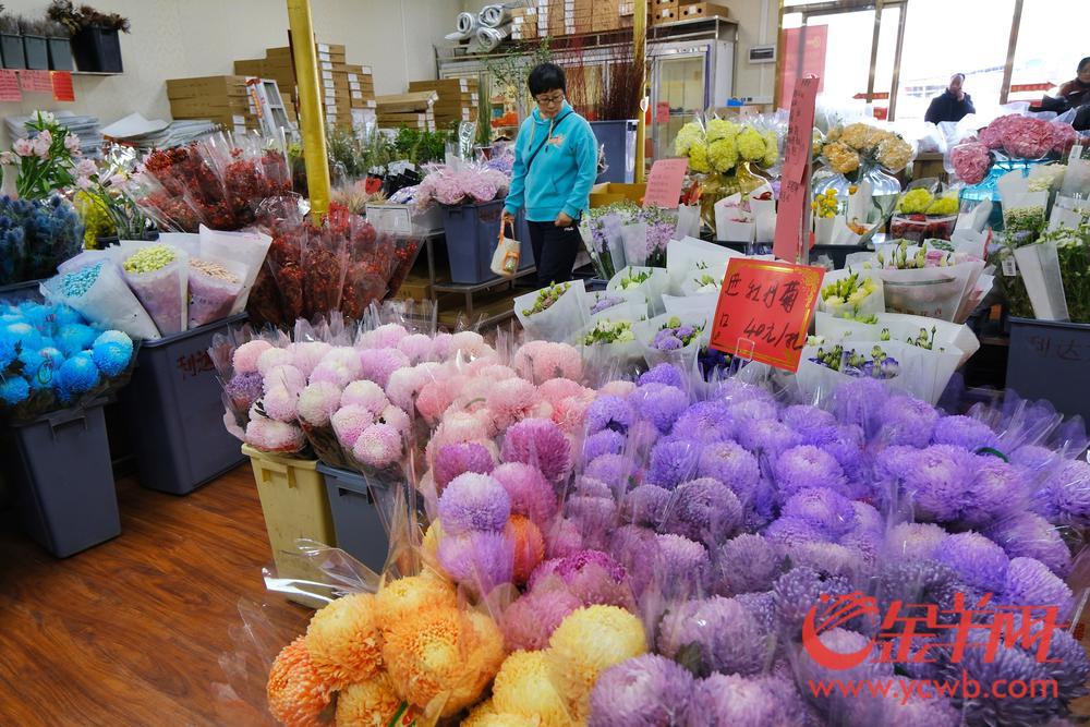 广州年花的品种名称价格,今年广州花卉市场行情