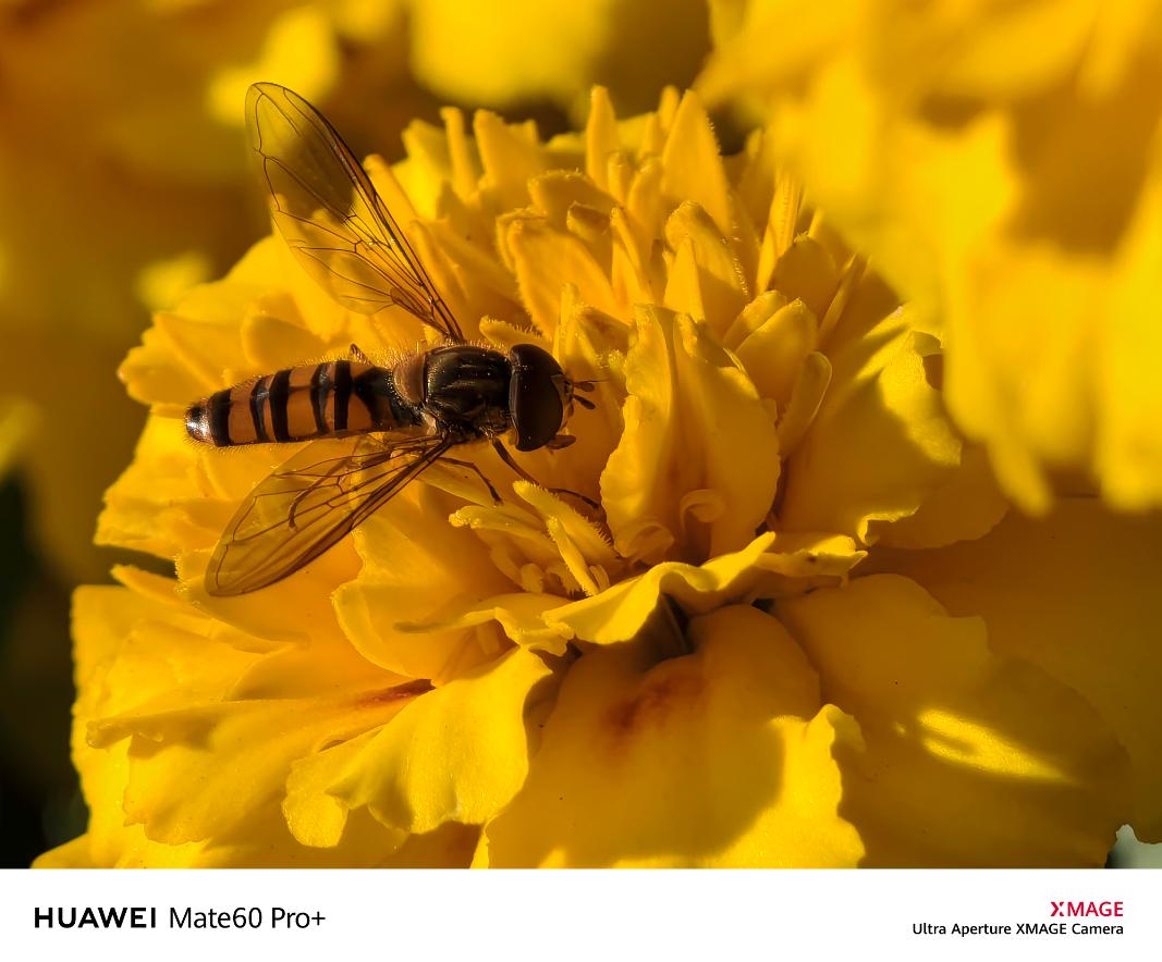 华为mate60影像排名,华为mate60pro影像测评