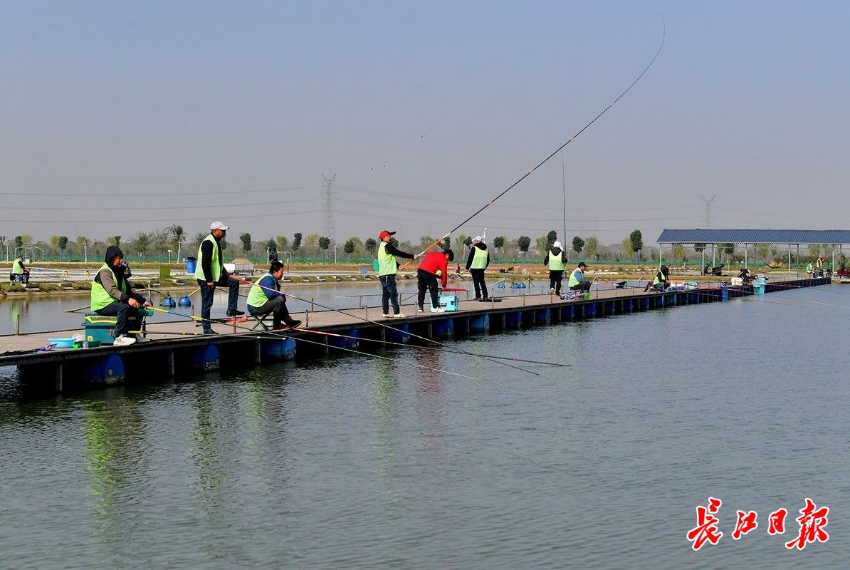 钓鱼月入过万,钓鱼月入20000