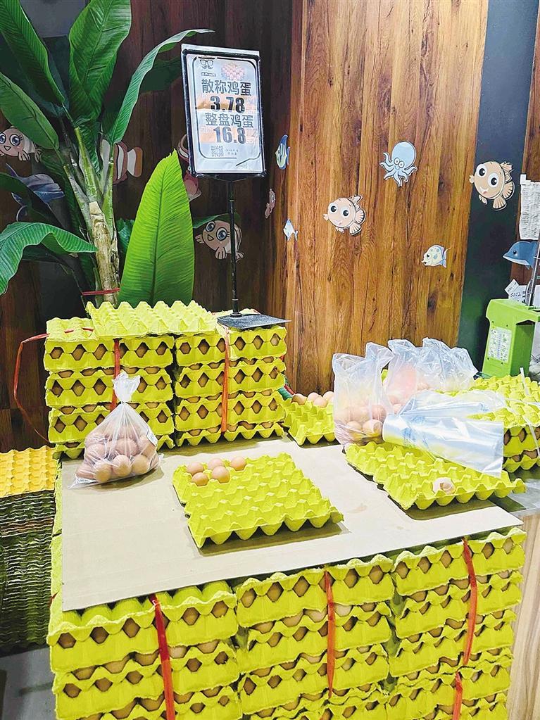 天气转暖菜最新价格,天气转晴蔬菜价格