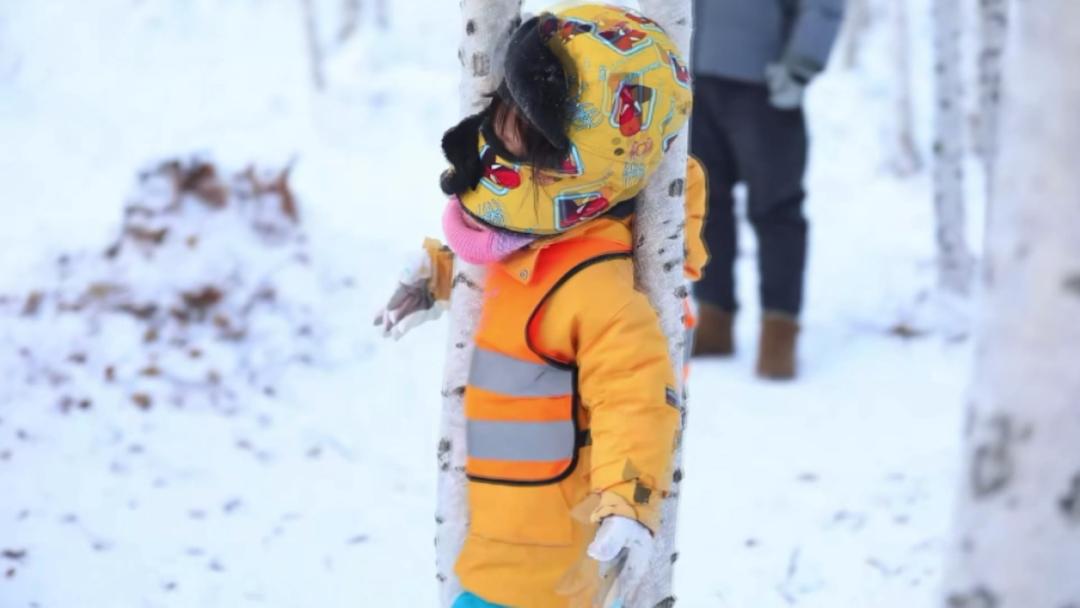 广西小砂糖橘最新消息,广西11个小砂糖橘带来多少商机