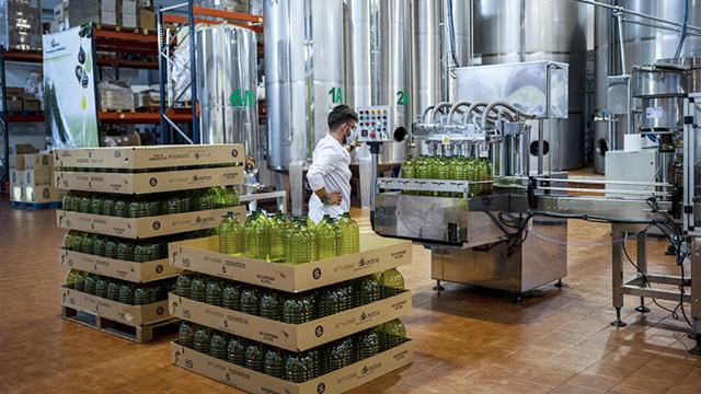 极端干旱重创西班牙,西班牙面临历史性干旱