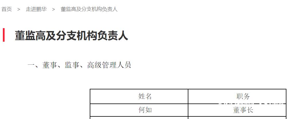 鹏华基金新进上市公司,鹏华基金董事长何如