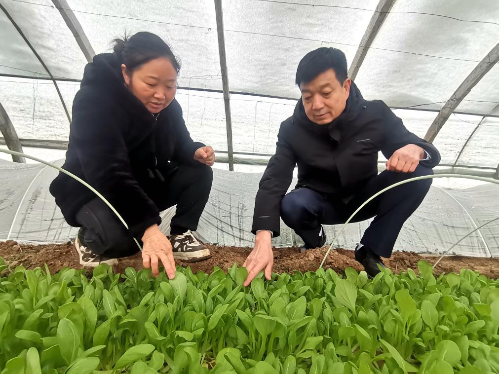 新春走基层蹲点日记,新春走基层温暖返程路