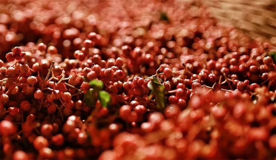 半月谈天水麻辣烫,半月谈前身