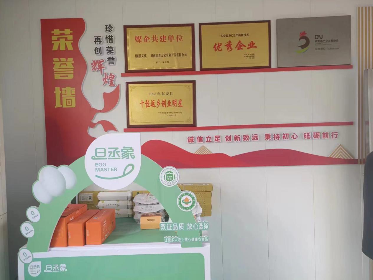 县领导深入企业调研简报,局领导到企业进行走访调研简报