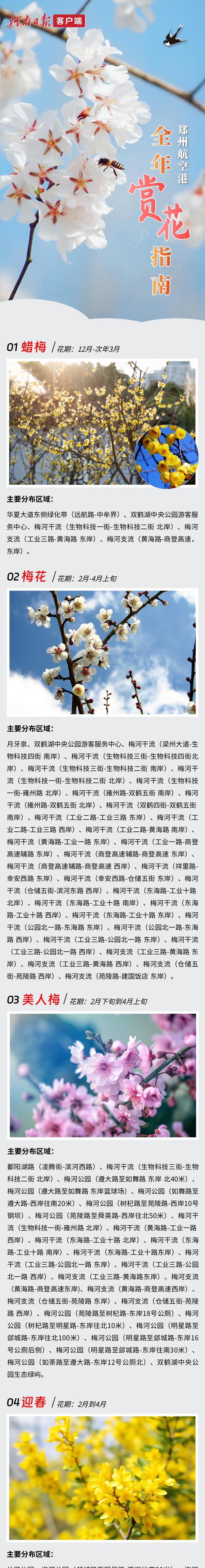 郑州最强赏花攻略出炉,郑州航空港赏花