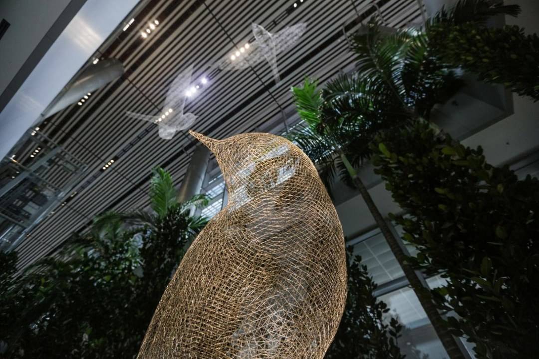 今年春节我们一起去新加坡吧,新年去新加坡旅游