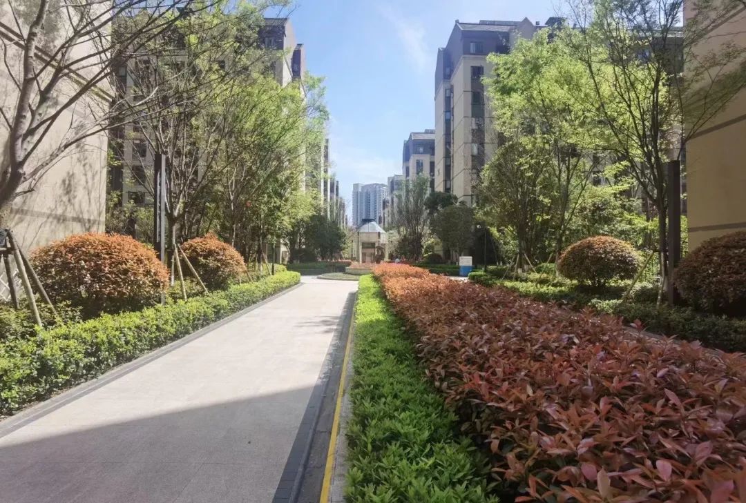 长沙雨花区卖得最好的楼盘,长沙叠拼书包房